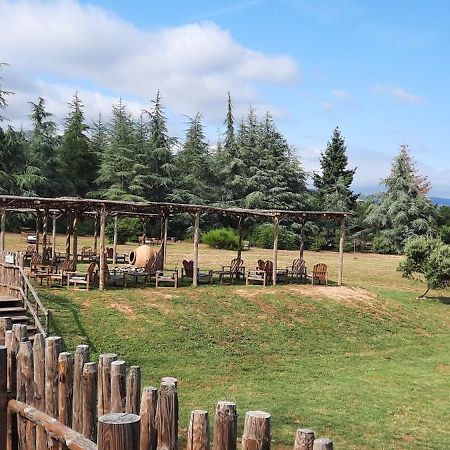 Domaine De La Vitarelle Glamping Villaniere 外观 照片
