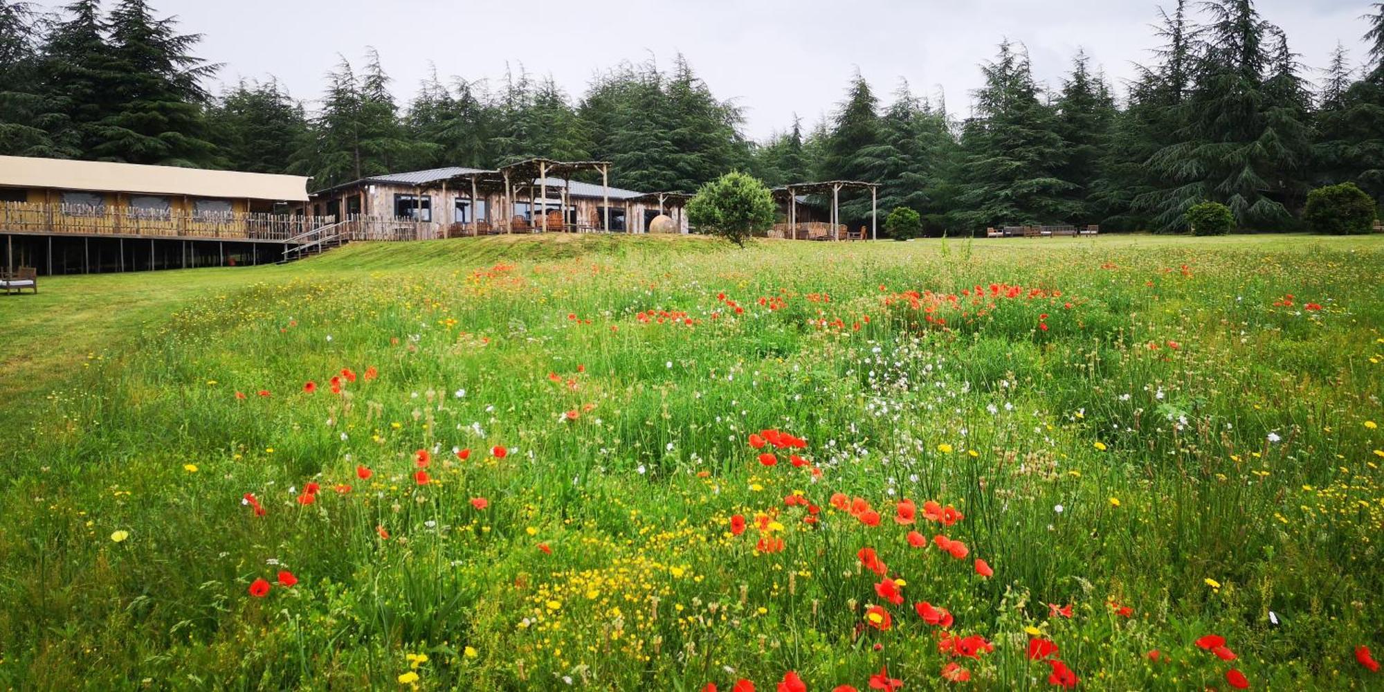 Domaine De La Vitarelle Glamping Villaniere 外观 照片