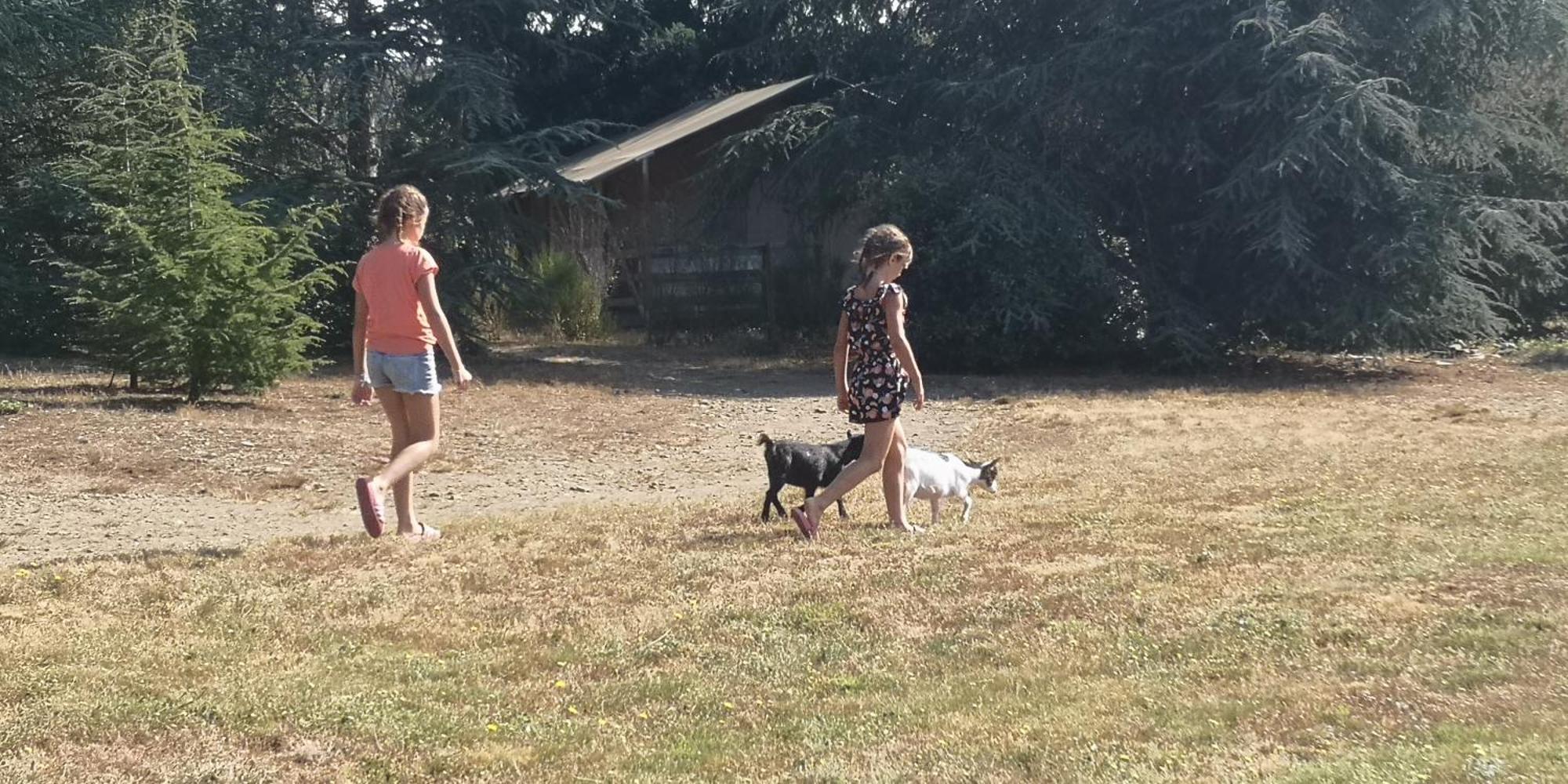 Domaine De La Vitarelle Glamping Villaniere 外观 照片