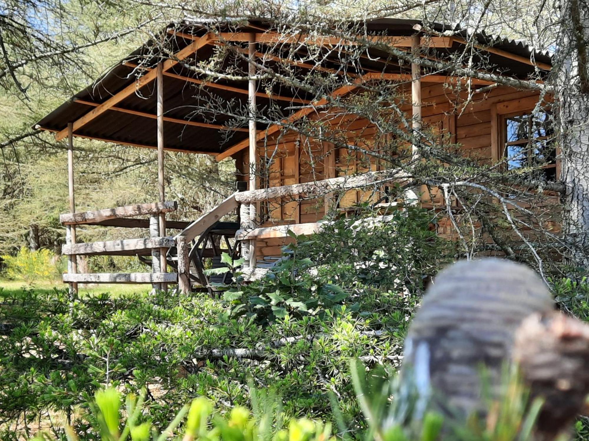 Domaine De La Vitarelle Glamping Villaniere 外观 照片