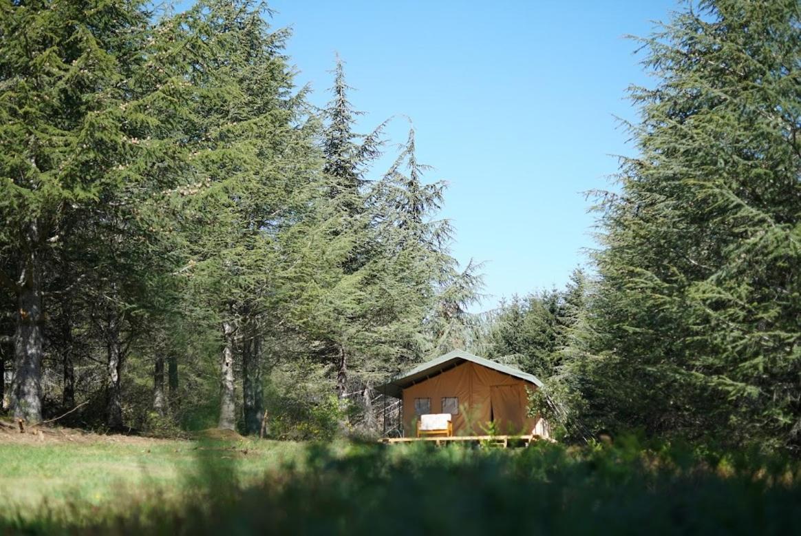 Domaine De La Vitarelle Glamping Villaniere 外观 照片