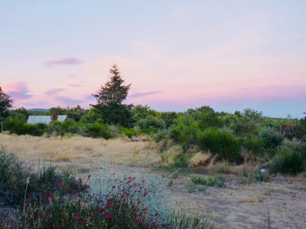 Domaine De La Vitarelle Glamping Villaniere 外观 照片